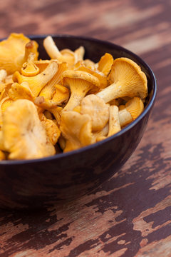 Mushroom Chanterelle. Fresh Raw Mushrooms Chanterelle In Bowl On Old Wooden Painted Table. Top View.