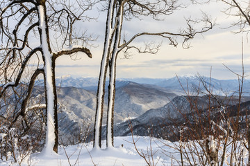 Winter snow mountain forest scenery landscape