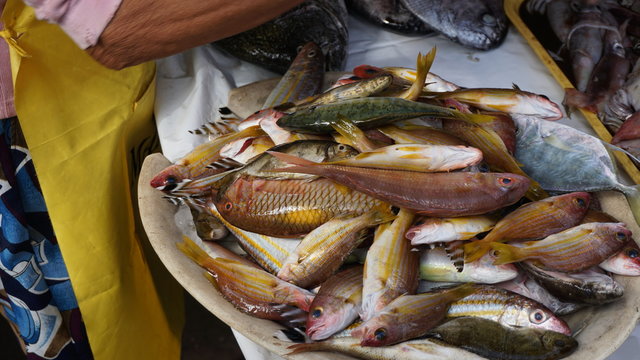 Market in Malatapay, Negros Oriental Philippines