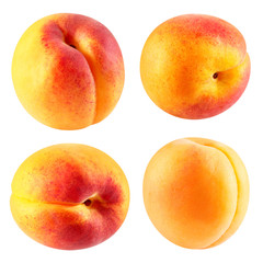 Apricot fruits isolated
