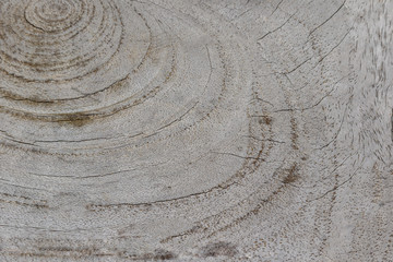Fototapeta na wymiar texture of bark wood use as natural background
