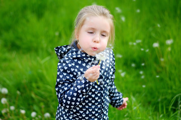 Little girl blowing on white dandelion