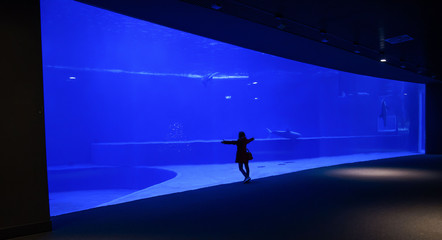 Isolated woman admires a big acquarium tank