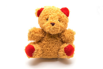 brown teddy bear isolated on white