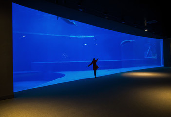 Isolated woman admires a big acquarium tank