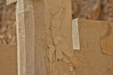 Column of Mortuary Temple of Hatshepsut