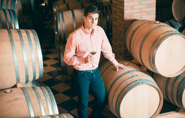 Handsome brunet man posing in winery cellar