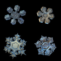 Set with four snowflakes isolated on black background. This is macro photos of real snow crystals:...