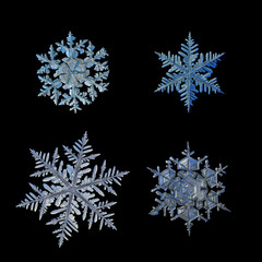 Set with four snowflakes isolated on black background and arranged in square grid. This is macro...