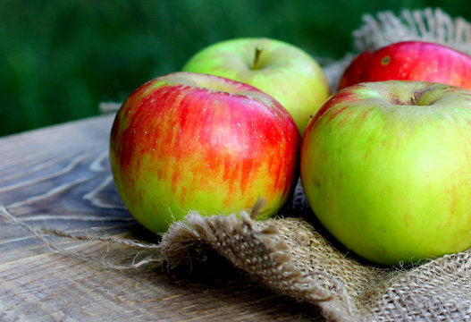 Season apples natural organic apples on coarse cloth sacking background