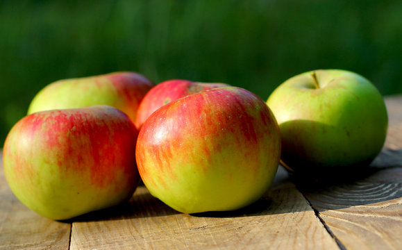 Ripe natural organic apples on wooden and green blurred background with copyspace for you text or logo.