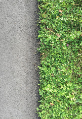 Roadside with grass, top view, closeup