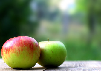 Two colorful natural organic apples on wooden background with place for you text or logo.