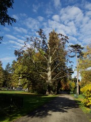 Stadtpark im Herbst