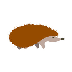 hedgehog flat icon