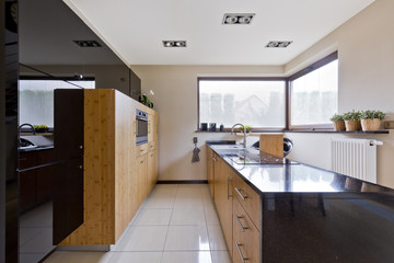Kitchen in modern style