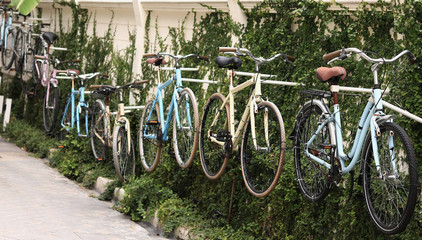 Vintage Bicycles on the wall