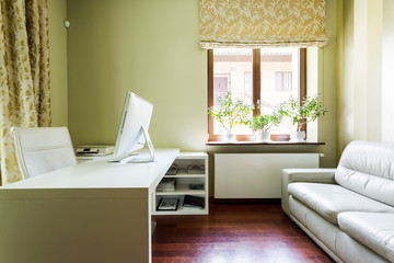 Green home office