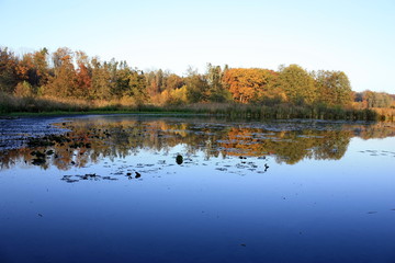 Bommer Weiher, Kreuzlingen, Schweiz