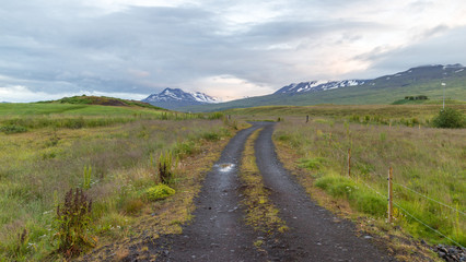 Icelandic grassland and mountains