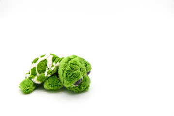 Green turtle doll with sad emotion isolated on white background
