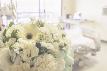 abstract floral for get well soon from six