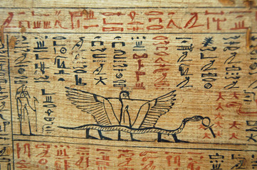Egyptian Hieroglyphs snake on feet on papyrus