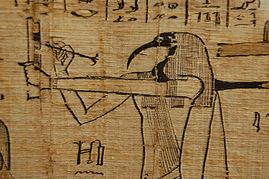 Egyptian Scribe Hieroglyph Closeup On Papyrus