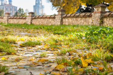 Yellow and orange autumn leaves in fall park.