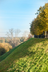 autumn trees in the park