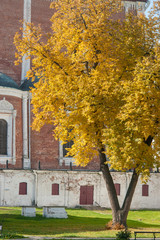Obraz premium Ryazan Kremlin on autumn - ansamble of ortodox church