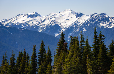 Olympic National Park