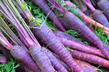 Purple Carrots