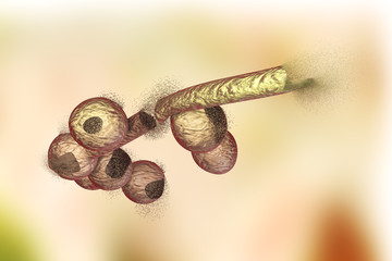 Destruction of Candida fungi, 3D illustration. Can be used to illustrate effect of antifungal drugs, medicines, microbes, nanoparticles