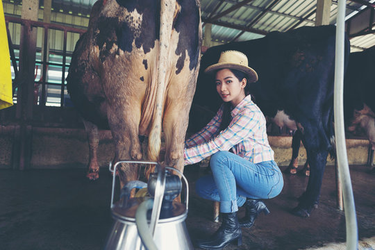 attractive female farmers milkmaid, milking cows on farm