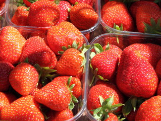 Fresh strawberries
