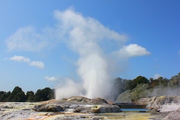 Geysir in Neuseeland