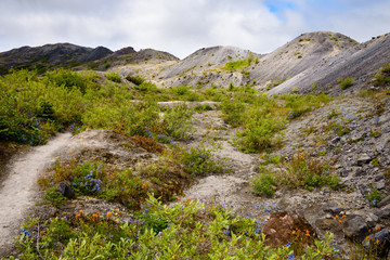 Mount St. Helens