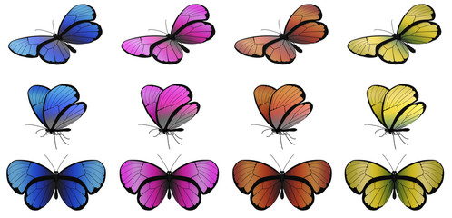 viele Schmetterlinge