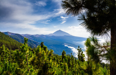 Fototapeta na wymiar Teide National Park, Tenerife, Canary islands, Spain