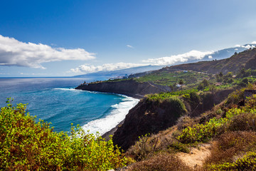 Ocean coast view palm tree clouds blue sky, Puerto de la Cruz, Tenerife, Canary Islands