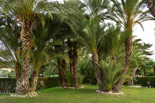 parques jardines parques urbanos