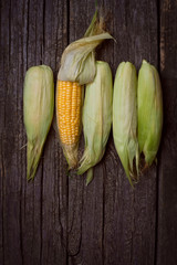 Fresh corn on cobs on rustic wooden table
