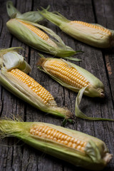 Fresh corn on cobs on rustic wooden table