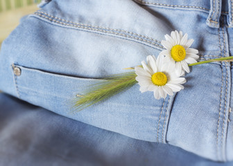 Denim with three flowers in pocket with copy space. Subjects captured against soft window lighting...