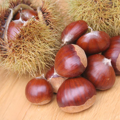 castagne e ricci su tavolo di legno