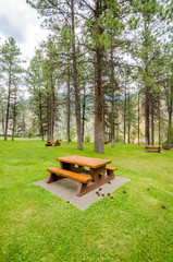 Beautiful picnic area at Thompson river, Canada.