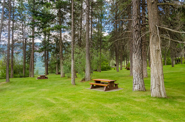 Beautiful picnic area at Thompson river, Canada.