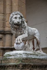 Lion marble statue in Florence