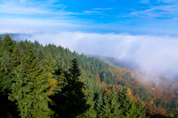 Blick vom Eichspitzturm